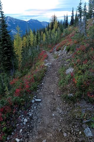PCT making pretty but excessively long switchbacks downward