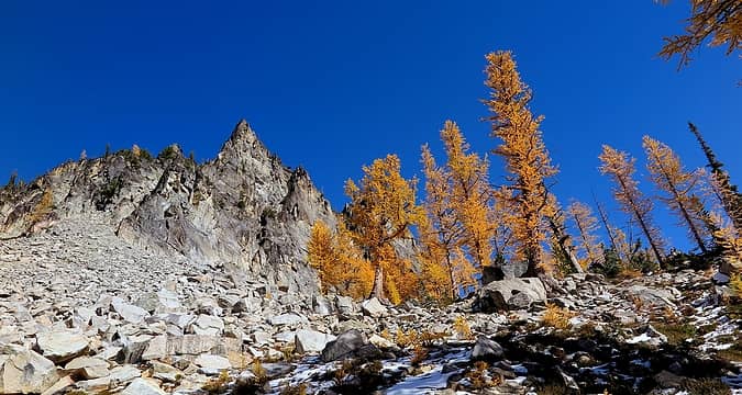Spires of rock and larch