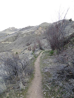 Trail above Two Dump Canyon looking East.