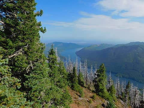 classic view of Lake Cushman from Mt Rose summit