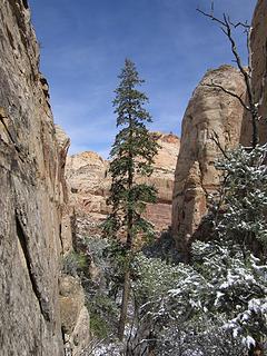 Unnamed Capitol Gorge spur