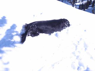 Snowbath