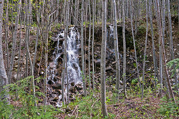 Waterfall grid, 
Granite Lakes trail 5/11/13