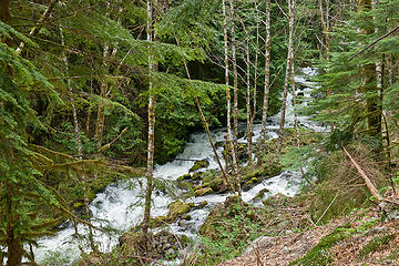 Granite creek from the trail. 
Lakes trail 5/11/13