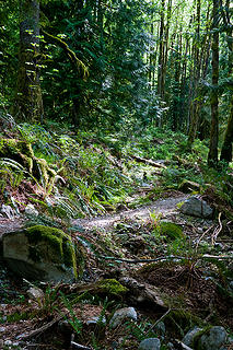 Granite Lakes trail 5/11/13 
Lower terraformed road into trail.