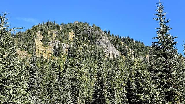 Upper slopes of French Cabin Mountain