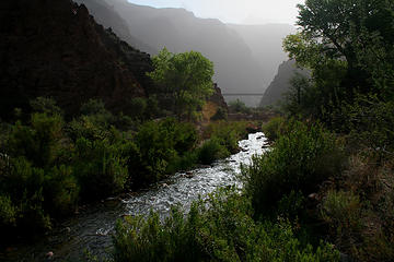 Bright Angel Creek, near Phantom Ranch. Grand Canyon, July 20, 2007.
