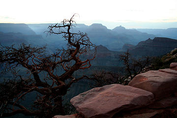 Just before sun-up on South Kaibab Trail. Grand Canyon, July 20, 2007.