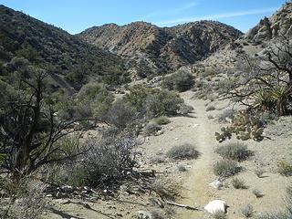hiking out of the gulch