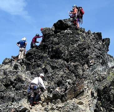 a swarm on the summit of daniel (west peak, true summit)