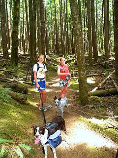 Along the trail to Heybrook. Notice the dogs are leashed and ready to attack.