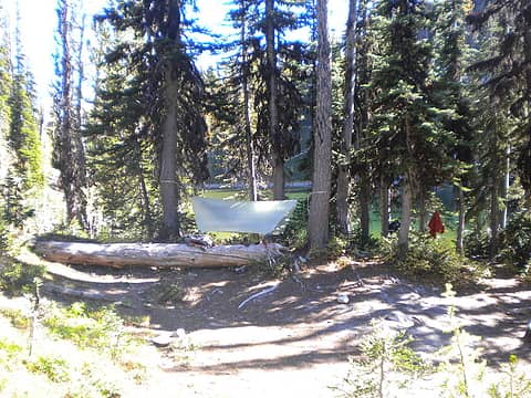 Cuben tarp and hammock
