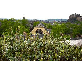 View from the museum of Greyfriars Kirk, Edinburgh Castle and Bog Myrtle