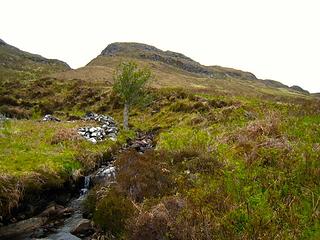 The heather moors or "Muirlands" on Knoydart