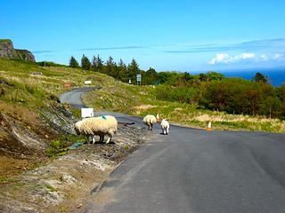 Typical scene on the single track roads of Skye.