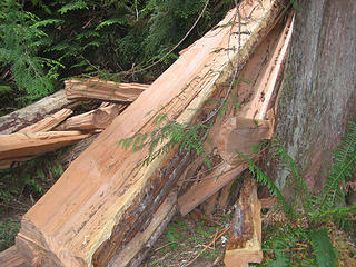 Cedar planks