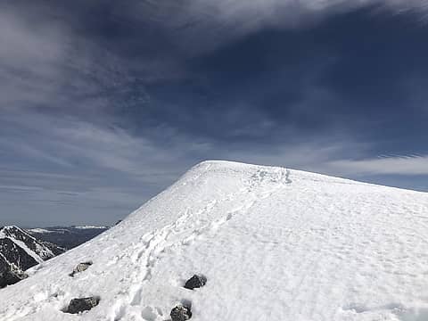 Lost Peak summit.