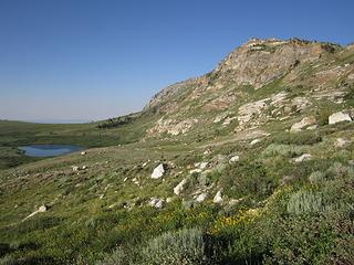 Ruby Mountains Wilderness, NV