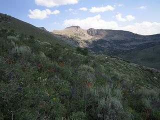 4th Boulder Basin