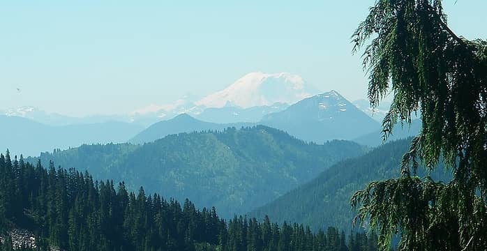 Everyone expects a photo of Mt Rainier, so here it is