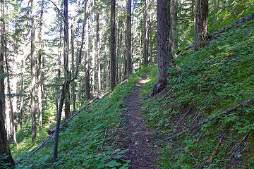 Lower elevation skyline trail