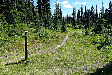 Hozomeen ridge trail junction