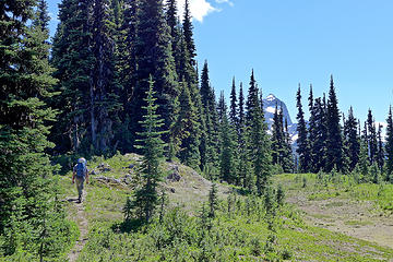 Hozomeen ridge trail