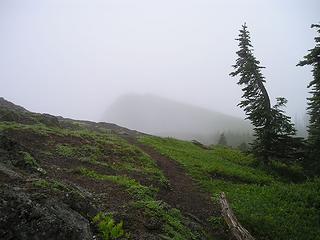Trail to fog