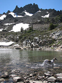 Rowena cools off at the tarn