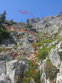 Looking up the easy gully from the base. Dead tree is marked along with where you want to exit.