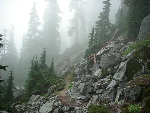 foggy, rocky trail