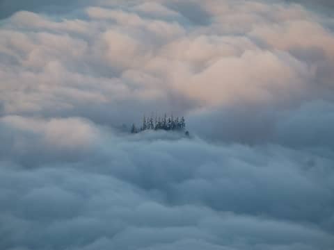 Treetops in the clouds as seen from Vesper Peak summit.