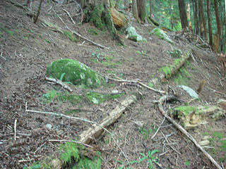 Old Pratt trail sill log