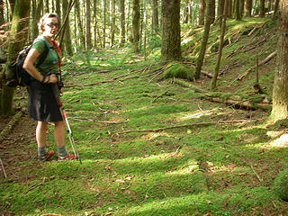 A Hiker and mossed over rail road ties