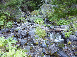 Meuller Creek at the trail crossing
