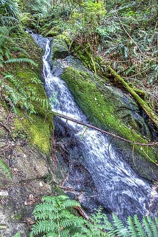 waterfall at creek draining Middle Mtn