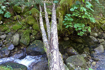 Kaleetan Creek log crossing