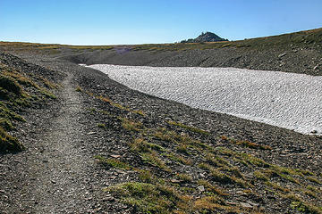 tundra environment