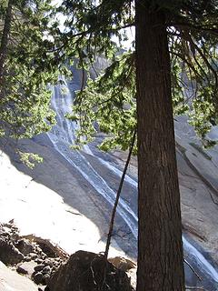 Nevada Falls and Doug fir