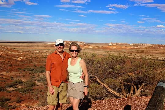 Foxes in the outback