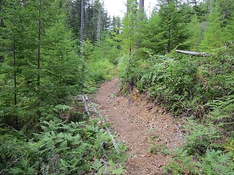 lower Divide Trail