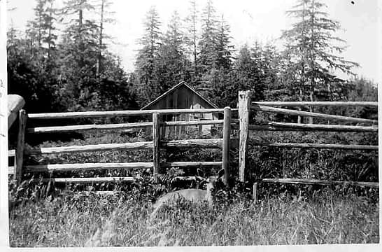 Ahlstrom's homestead, early 1940s