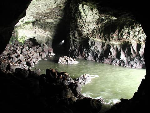 Sea lion caves