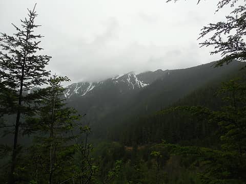 MtTownsend-Looking back up towards the cloudy summit from the Little Quilcene TH