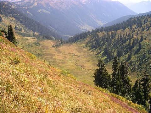 Meander meadow from PCT on Kodak peak.