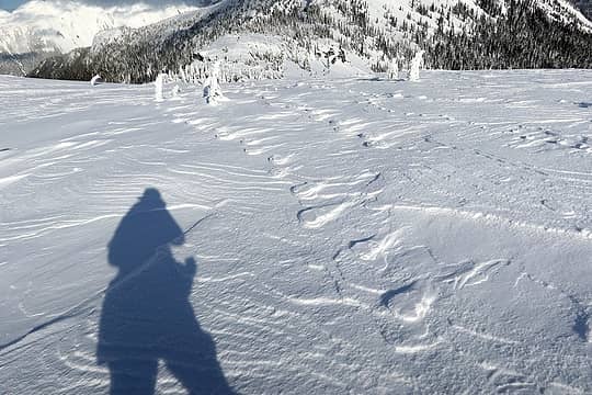 Wind-etched ghosts of previous snowshoe tracks