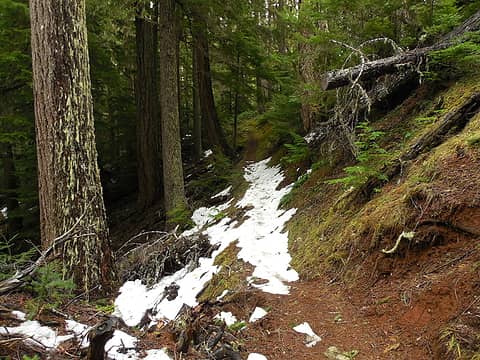 Snow on the trail near the top