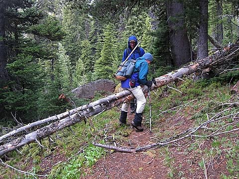 Trail is maintained up until Big Caroline Lake, but not beyond.