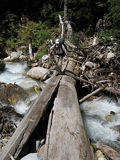 Terror Creek log crossing (taken on the return trip)