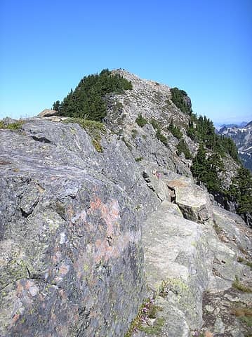 trail to Alta summit.